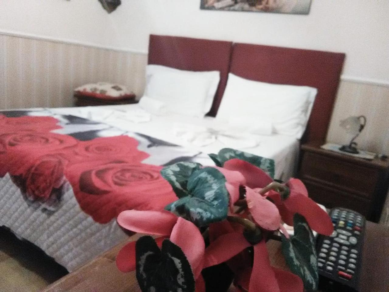 Hillary House Hotel Fiumicino Buitenkant foto