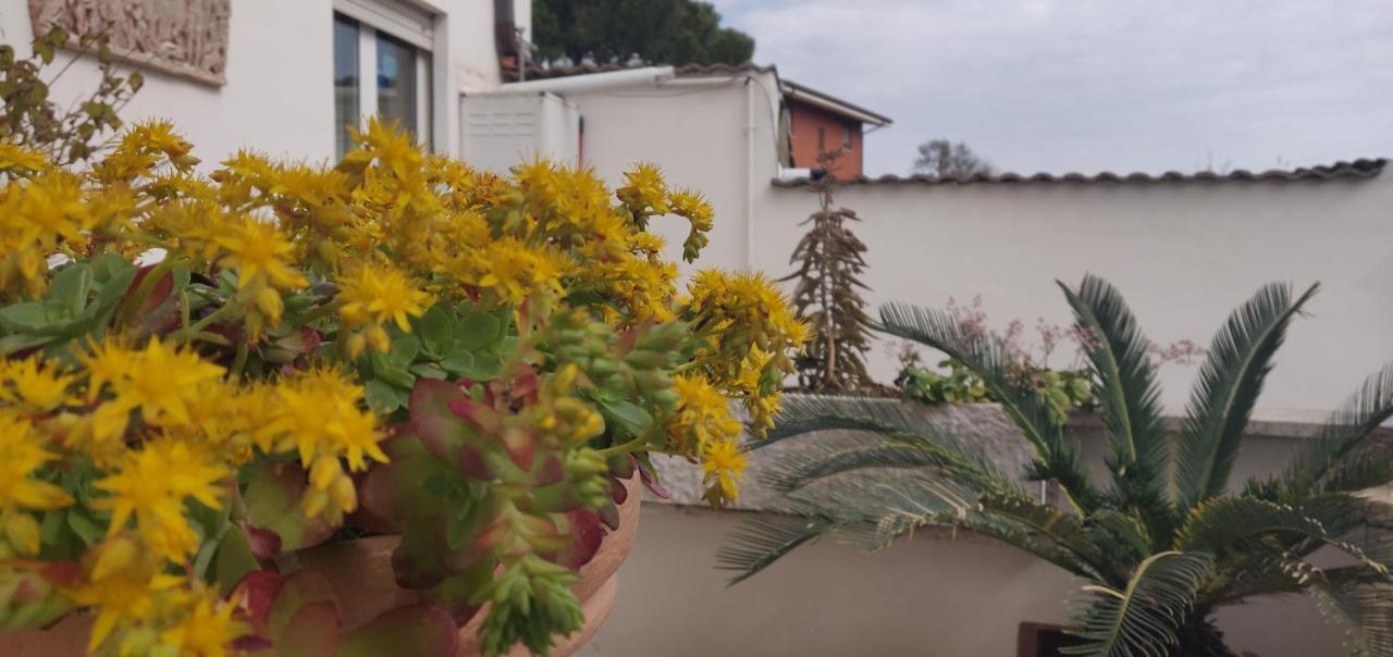 Hillary House Hotel Fiumicino Buitenkant foto